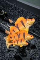 Fox Rage Gumová Nástraha Ultra Realistic Replicant Perch Golden Perch (7)