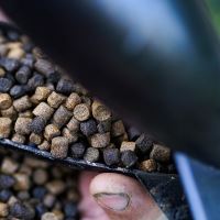 Munch Baits Pelety Spod Mix Pellets 2 l (3)