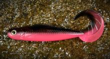 RedBass Gumová Nástraha Twister Kixter Black/Signal Pink UV COLOR - L 100 mm (1)
