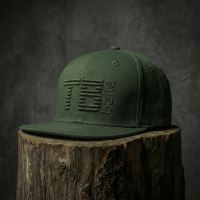 TB Baits Kšiltovka Snapback 3D Logo Green (3)