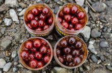 Carp Inferno Boosted Boilies Hot Line Škorpion 300 ml 20 mm (1)