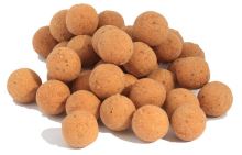 Bait-Tech Boilie Poloni 100 g (1)