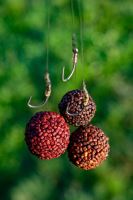 Chytil Boilies Pandemia 24 mm 100 g (9)