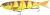 Savage Gear Wobler 4Play V2 Swim &amp; Jerk SS Golden Ambulance-16,5 cm 35 g