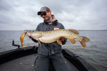 Berkley Gumová Nástraha Powerbait Chop Block Baitfish (5)