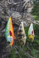 Salmo Wobler Fatso Floating Silver Halo (5)