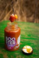 Chytil Booster 300 ml (12)