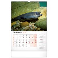 PGCZ Nástěnný Rybářský Kalendář 2026 SK 33x46 (13)