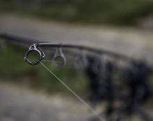 Shimano Prut Tribal TX-5 3,66 m 3 lb (8)