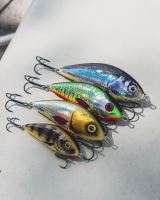 Salmo Wobler Fatso Floating Silver Halo (6)