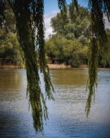 Fox Bivak Frontier II Camo (15)