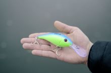 Black Cat Wobler Cranker Special Green 16 cm 50 g (9)