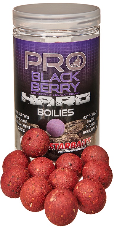 Levně Starbaits boilie hard pro blackberry 200 g - 24 mm