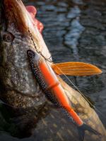 Berkley Gumová Nástraha PowerBait Nessie Roach (8)