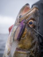 Berkley Gumová Nástraha PowerBait CullShad Deep Sinking Ayu Green (9)