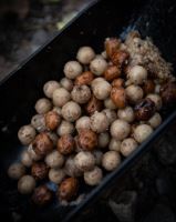 Nash Boilies Citruz (2)