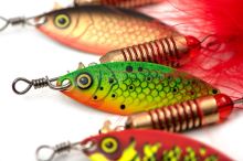 Fox Rage Třpytka Spinner UV Hot Perch (10)