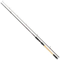 Abu Garcia Prut Tormentor Spinning Rod Heavy 2,74 m 20-60 g
