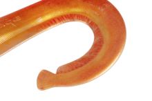Fox Rage Gumová Nástraha Ultra Realistic Replicant Catfish Golden Wels (3)