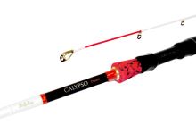 Delphin Prut Calypso Drop Shot 2,14 m 5-28 g