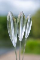 Zebco Sbirolino Magic Sbiro Slow Sinking Clear (5)