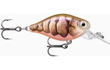 Rapala Wobler X- Light X-Light Crank Mid Runner PUPU 3,5 cm 4 g