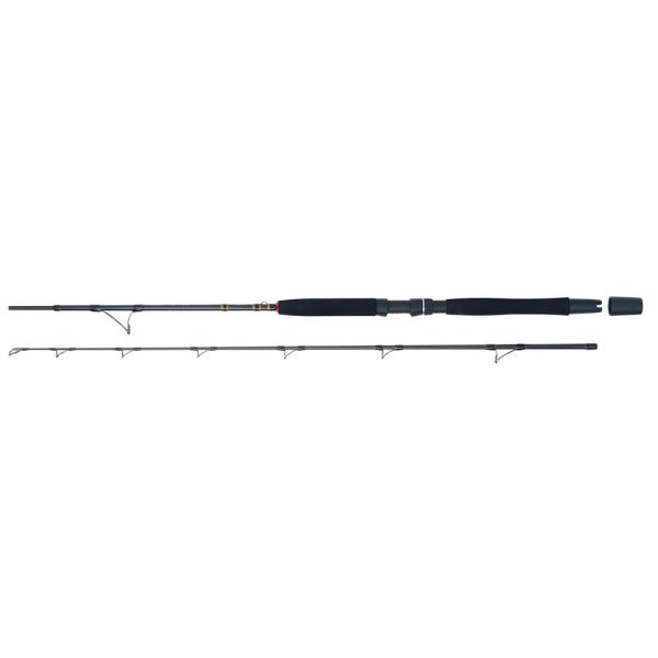 WFT Prut Go North II 2,1 m 30 lb 200-600 g