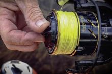 Black Cat Naviják Passion FD 80 (7)