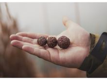 Chytil Boilies Pandemia 16 mm 100 g (4)