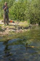 Korum Podběráková Tyč Allrounder Tele-Handle (9)