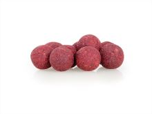 Sportcarp Tvrzené Boilies Hard Ons Mulberry Garlic (2)