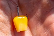 Preston Innovations Háčky Natural N-60 (4)