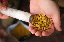 Nikl Pelety Corn 1 kg (6)