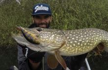 Salmo Wobler Fatso Floating Silver Halo (4)