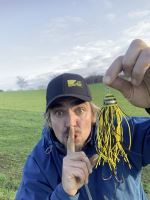 Black Cat Chobotnička Battle Teaser Silent Žlutá Černá (1)