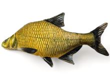 BeCare Polštář Cejn 37 cm BeCare Polštář Cejn 37 cm