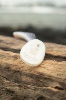 Black Cat Gumová Nástraha Big Hit Shad 18 cm - Red Head (6)