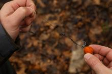 Nikl Boilie Chilli & Peach (1)