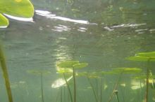 Power Vision Ponorka Power Ray s kamerou 4K (13)