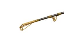 Delphin Prut Hazard BxG 2,55 m 505 g (2)