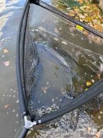 Fencl Podběráková Hlava Carp Classic Polyesterová Síť 42" 105 cm (4)