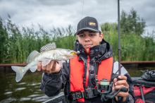 Fox Rage Gumová Nástraha Loaded Slick Shad UV Hot Olive (3)