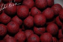 LK Baits Boilie Euro Economic Spice Shrimp (1)