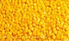 VAďo Vařený partikl kukuřice NATURAL-1,5 kg