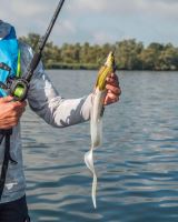 Fox Rage Gumová Nástraha Slick Eel Hot Olive 42 cm (5)