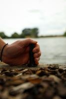 Fox Stabilizér Black Label Slim Stage Stands (6)