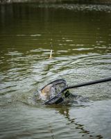 Matrix Splávek Foam Pellet Waggler (7)