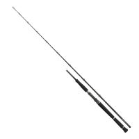 Daiwa Prut Pro Staff Baitcast Catfish 1,9 m 180 g (2)