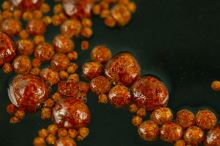 Sticky Baits Plovoucí Pelety Floaters Krill 3 kg (3)