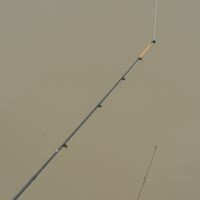 Korum Prut Phase 1 Feeder Rod 11 ft (8)